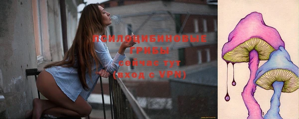 прущие грибы Осташков