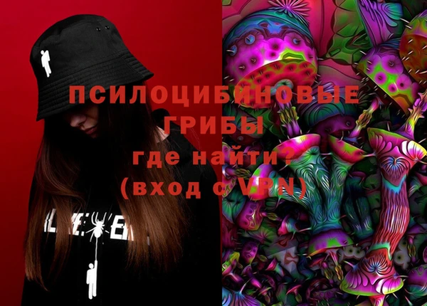 прущие грибы Осташков