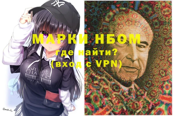прущие грибы Осташков