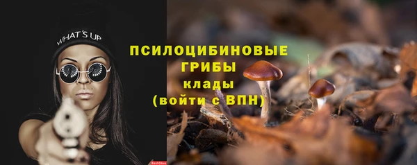 герыч Осинники