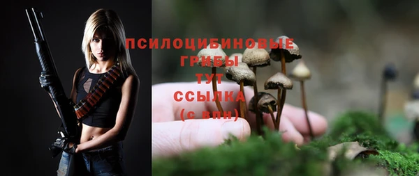 герыч Осинники