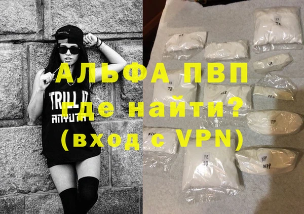 прущие грибы Осташков