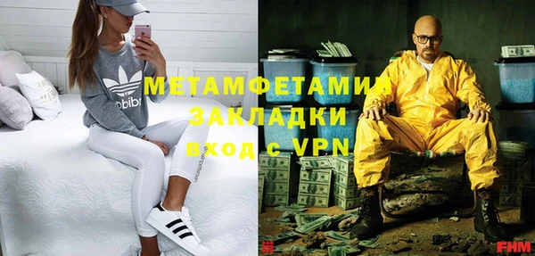 прущие грибы Осташков
